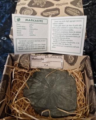 Marcasite minerale da collezione 