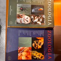 Zoologia II edizione