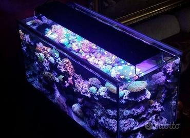 Plafoniera LED per acquario BRIDGELUX (120cm)