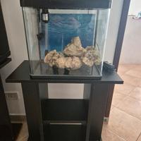 acquario da 40l