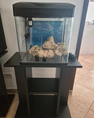 acquario da 40l