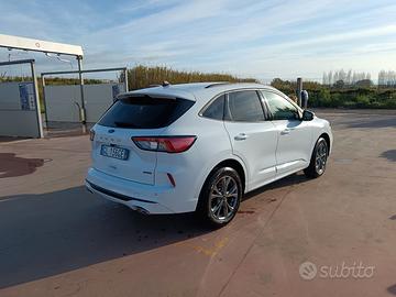 Kuga Plug in 2023