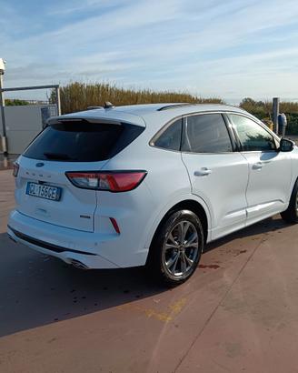 Kuga Plug in 2023