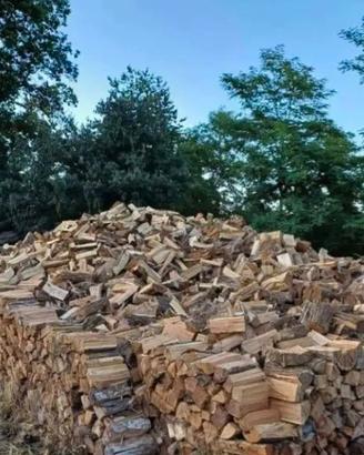 legna da ardere secca