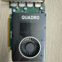 Scheda Grafica NVIDIA M2000