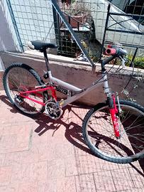 bicicletta 24 pollici 