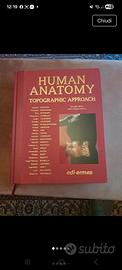 Human anatomy topographic