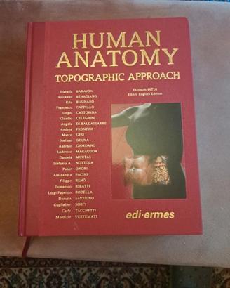 Human anatomy topographic