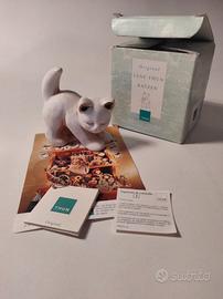 Gatto Thun fuori produzione