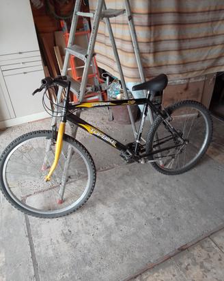 bicicletta 