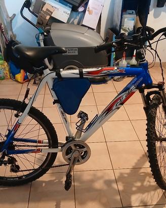 bici mountain bike da uomo