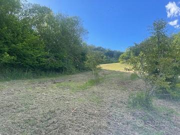 Terreno agricolo a Montefalcone Appennino