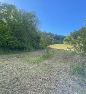 Terreno agricolo a Montefalcone Appennino