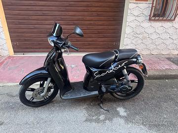 Scarabeo cilindrata 50