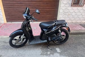 Scarabeo cilindrata 50