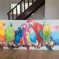 Quadro pappagalli 