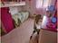 Immagine 14