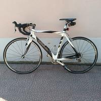 bici corsa adulto Rossin Shimano ultegra