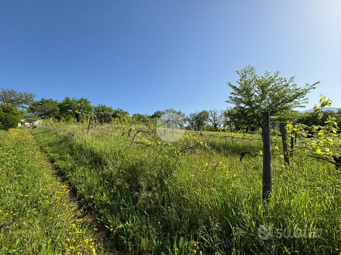 Casa – Otricoli, Castellaccio - Vista 3
