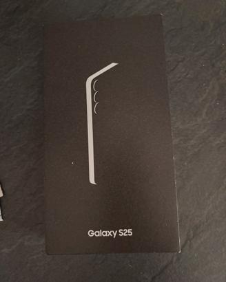Galaxy s25