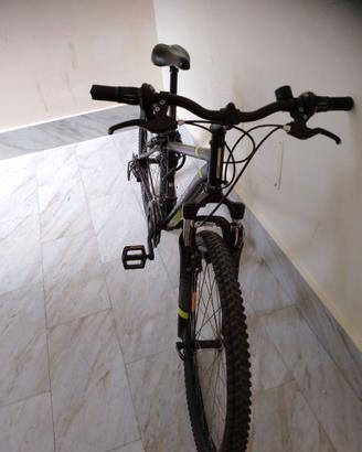 Bici Mountain bike 24