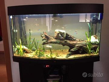 Acquario Juwel Vision 180