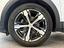 Immagine 15