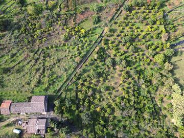 Terreno Edificabile - Giarre