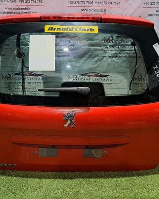 PORTELLONE POSTERIORE PEUGEOT 207 1° Serie 8701AY