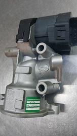 Elettrovalvola EGR rigenetata