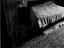 Immagine 13