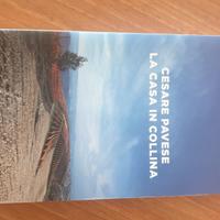 La casa in collina di Cesare Pavese