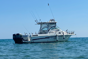 Barca proline 251
