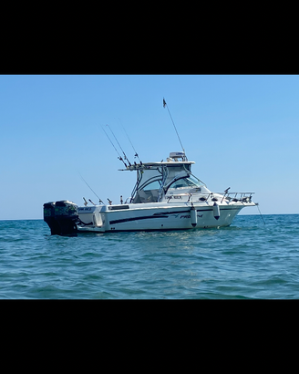 Barca proline 251