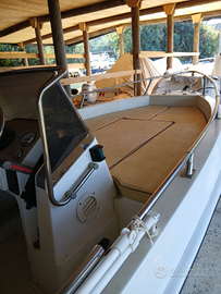 Ranieri 17 con suzuki 40 hp del 2010