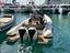 Immagine 4