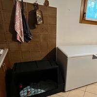 Box da aito per cane taglia grande