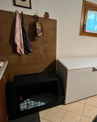 Box da auto per cane taglia grande