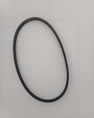 cinghia dentata polini 248.113