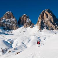 Albergo in Val Di Fassa - Cod. 80039