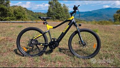 mountain bike elettrica Haoqi Cheetah 5