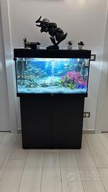 Acquario 120 lt JUWEL con mobiletto