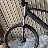 Bicicletta con pedalata assistita