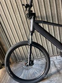 Bicicletta con pedalata assistita