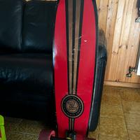 Longboard Z-flex