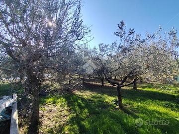TER. RESIDENZIALE A FOLIGNO