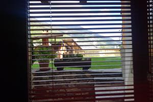 Case per vacanze e lavoro