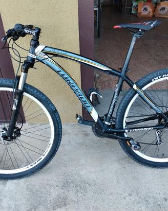 MTB 29 pollici 