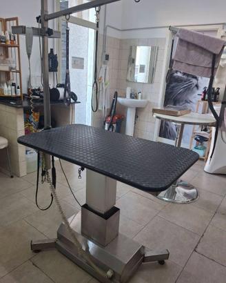 TAVOLO ELETTRICO TOELETTA  USATO