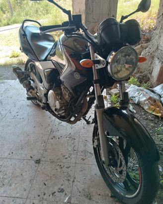  Yamaha ybr 250 